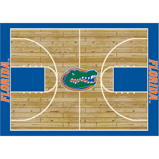 Florida Gators courtside style area rug