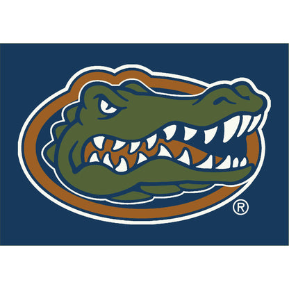 Florida Gators distressed style area rug