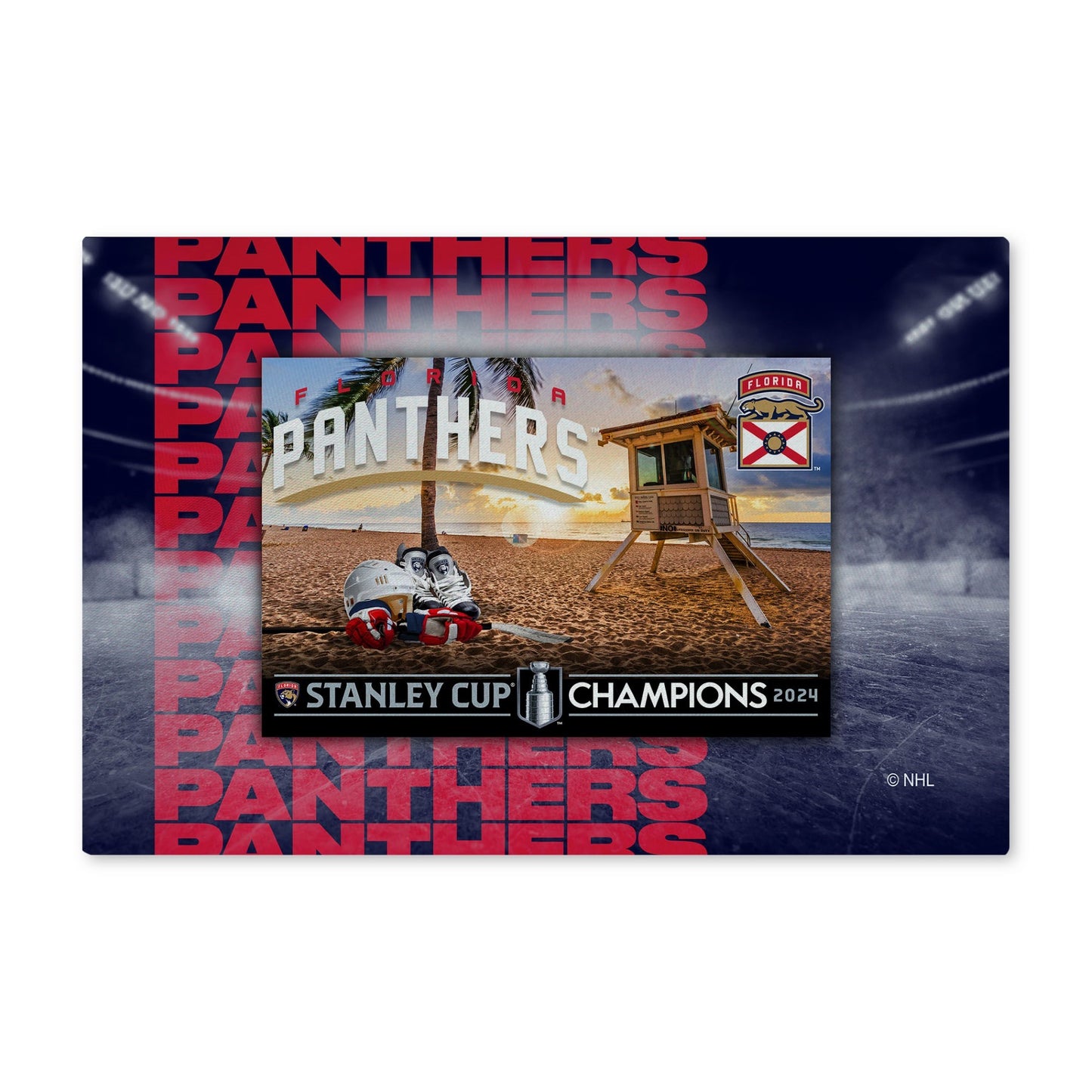 Florida Panthers NHL Stanley Cup Champions rug