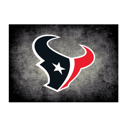 Houston Texans distressed style area rug