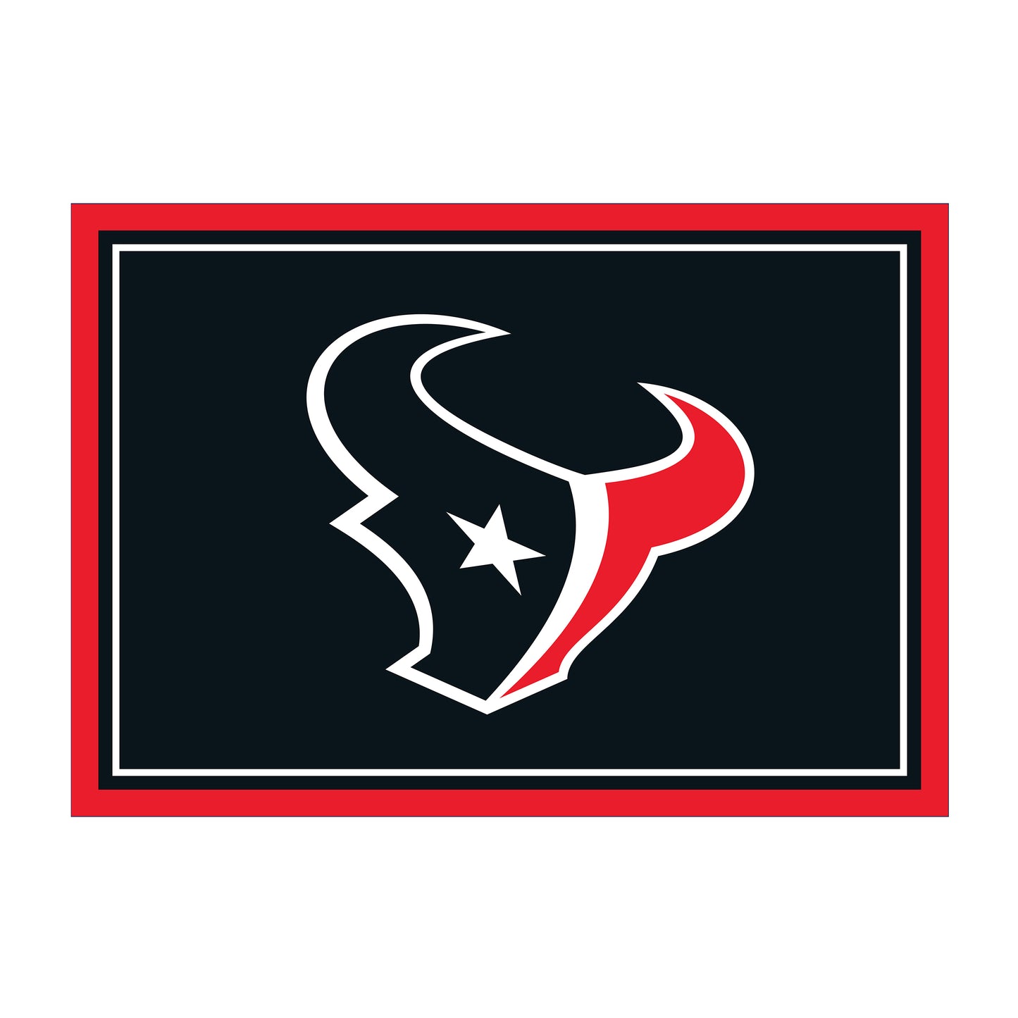 Houston Texans distressed style area rug