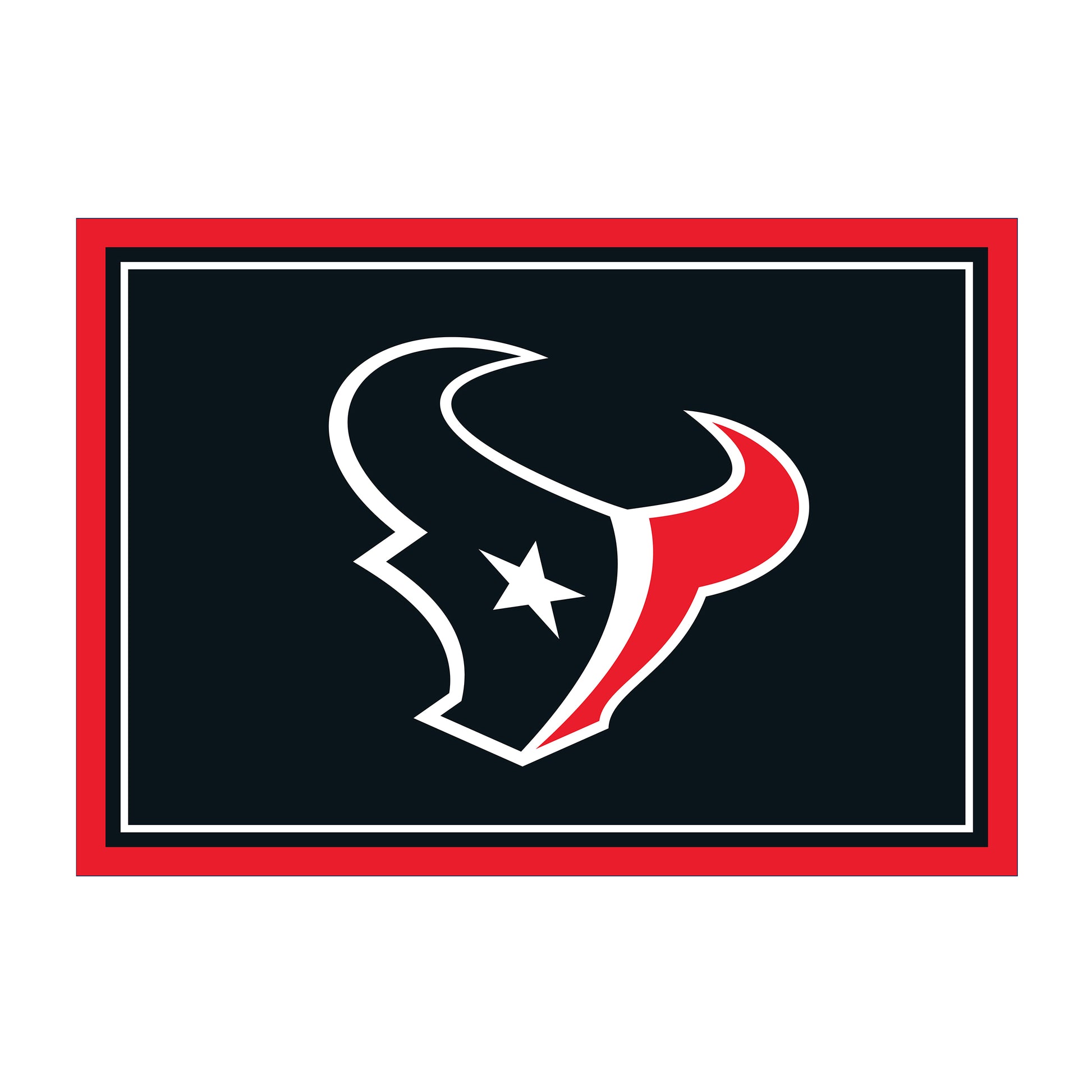 Houston Texans distressed style area rug