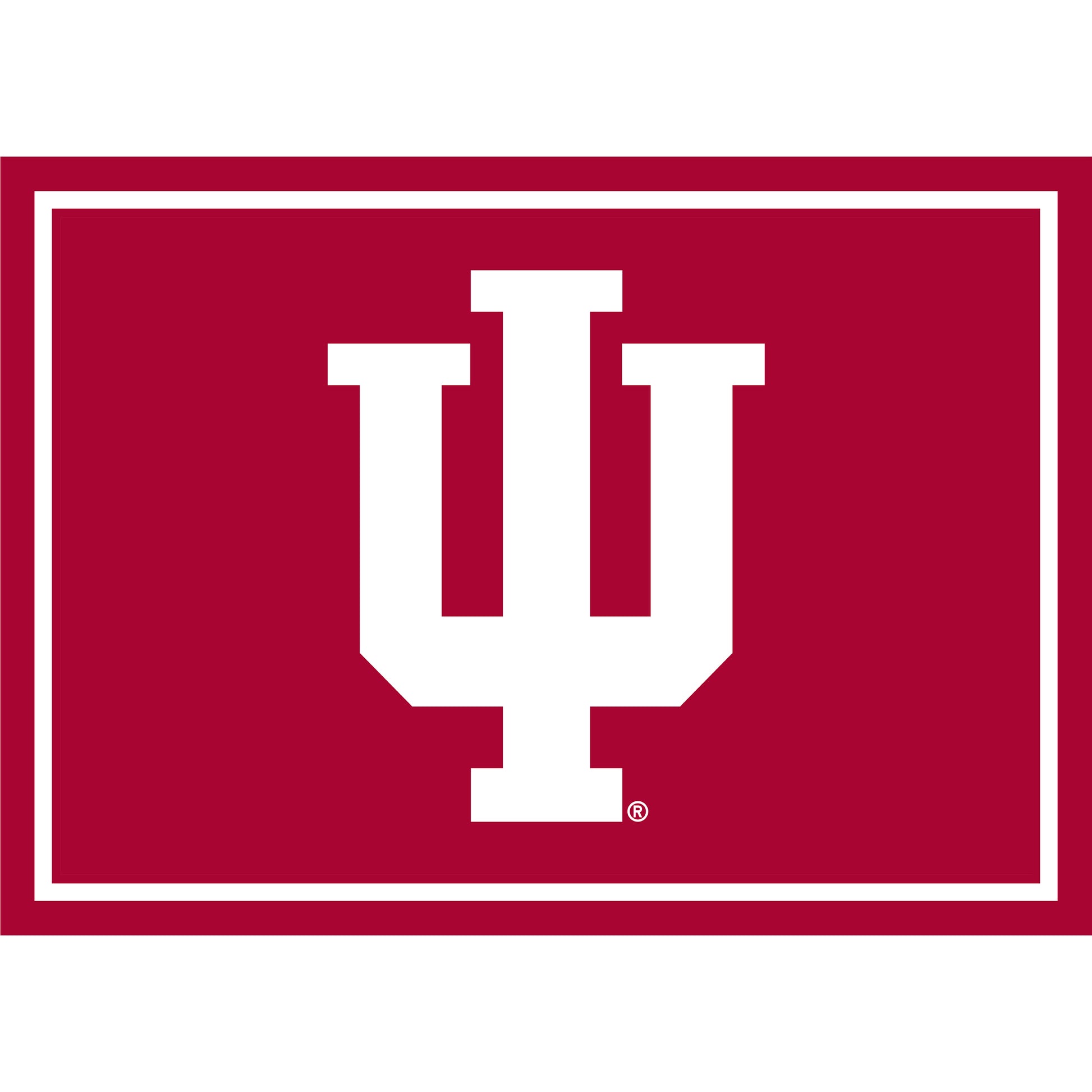 Indiana Hoosiers distressed style area rug