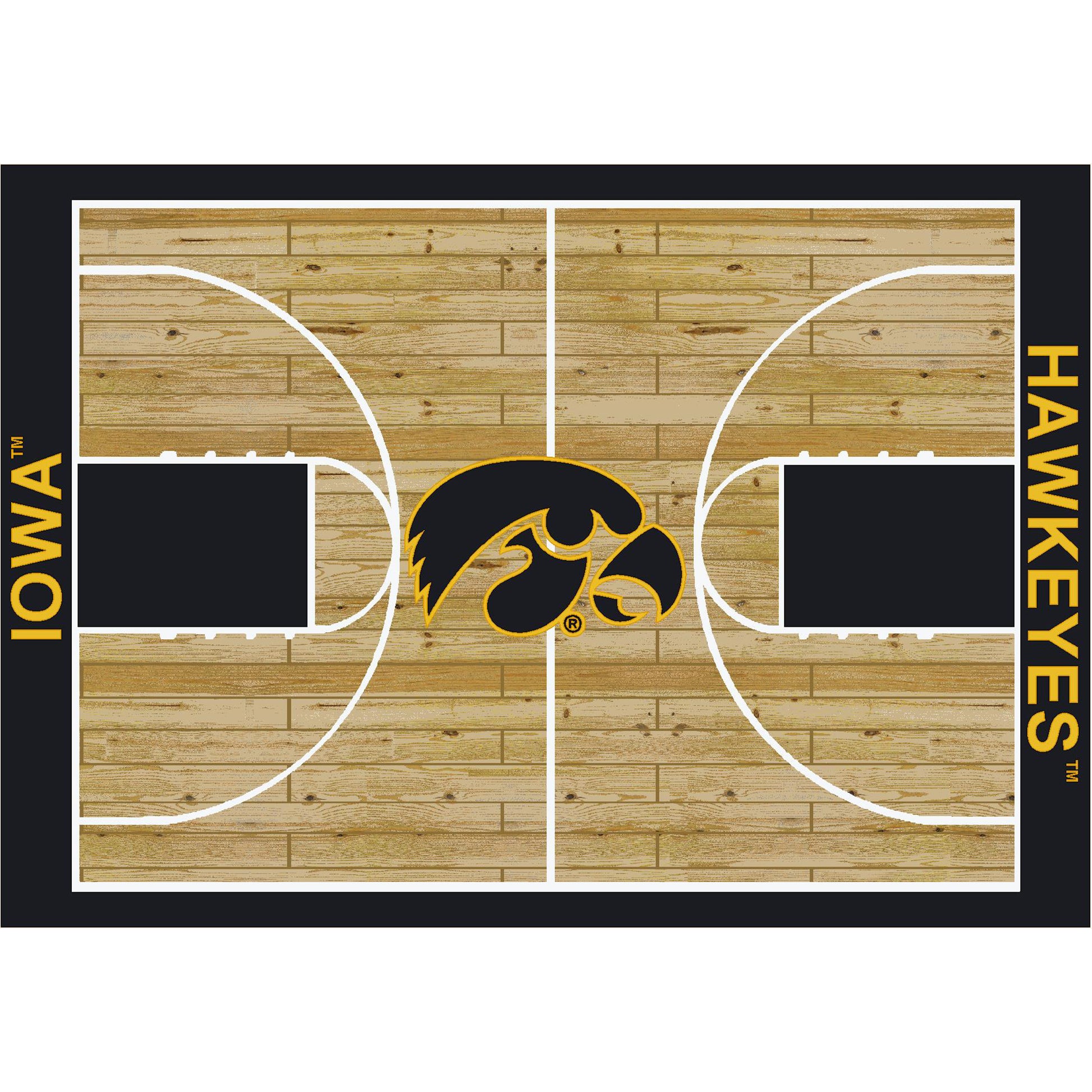 Iowa Hawkeyes courtside style area rug