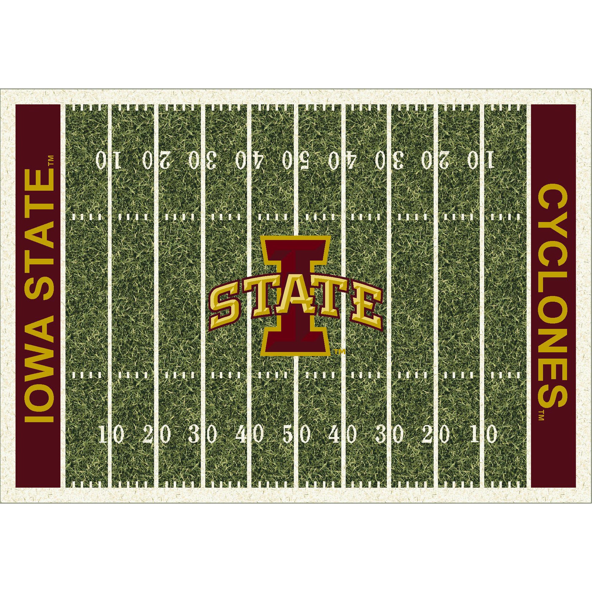 Iowa State Cyclones home field style area rug