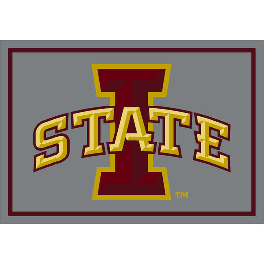 Iowa State Cyclones distressed style area rug