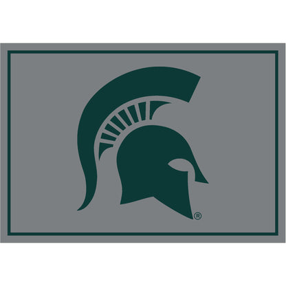 Michigan State Spartans distressed style area rug