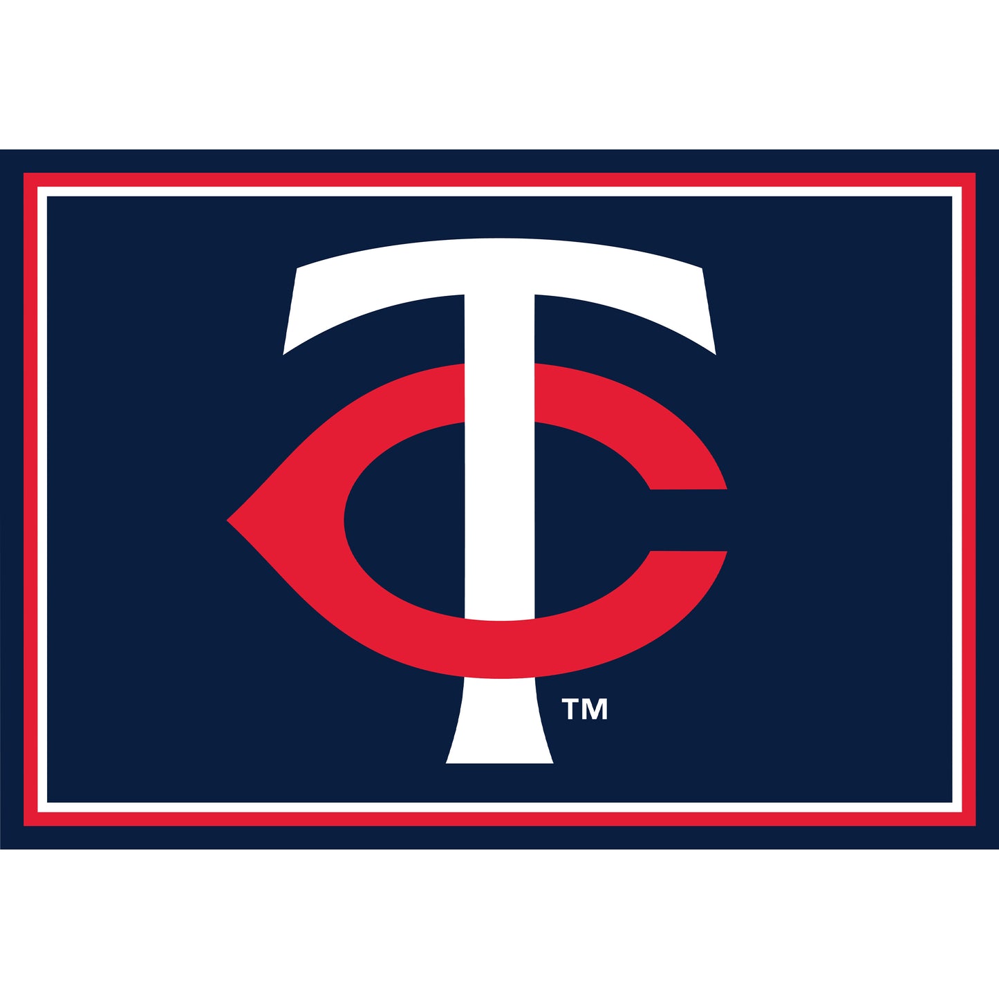 Minnesota Twins distressed style area rug