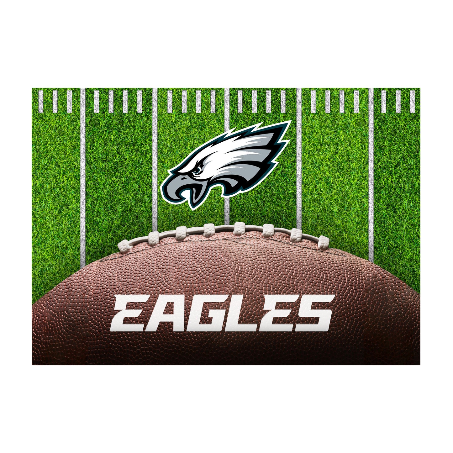 Philadelphia Eagles washable football field rug