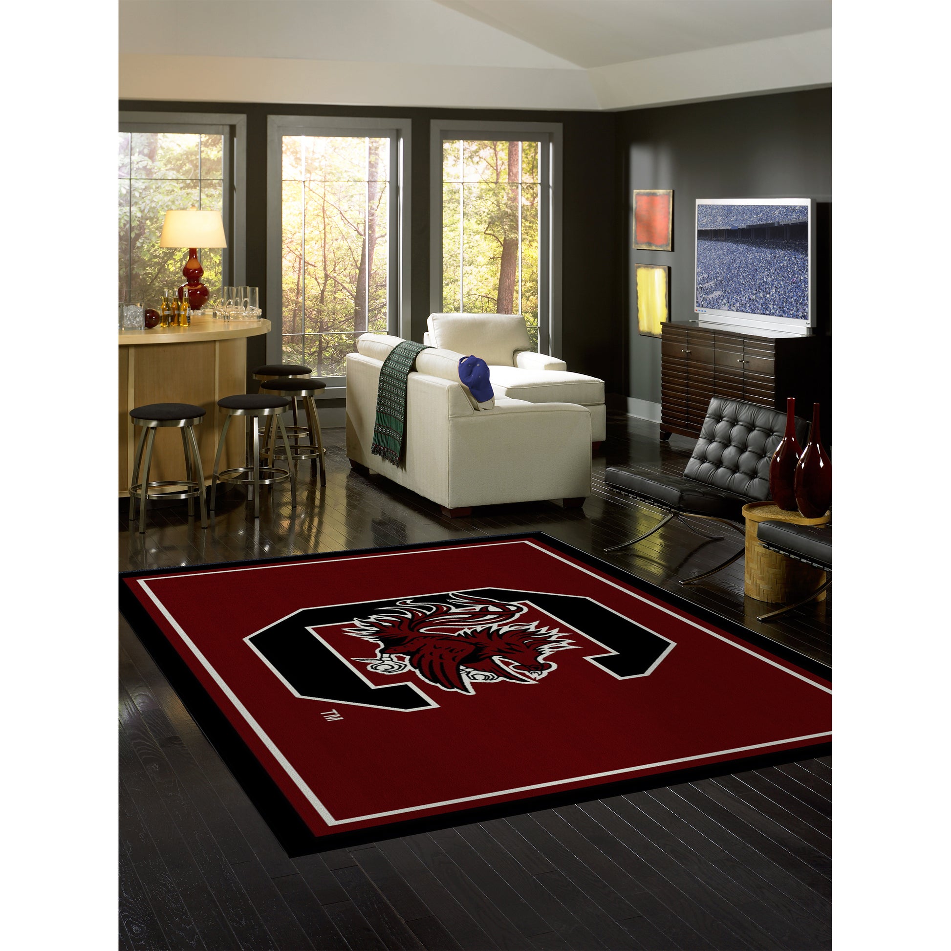 South Carolina Gamecocks spirit style area rug life