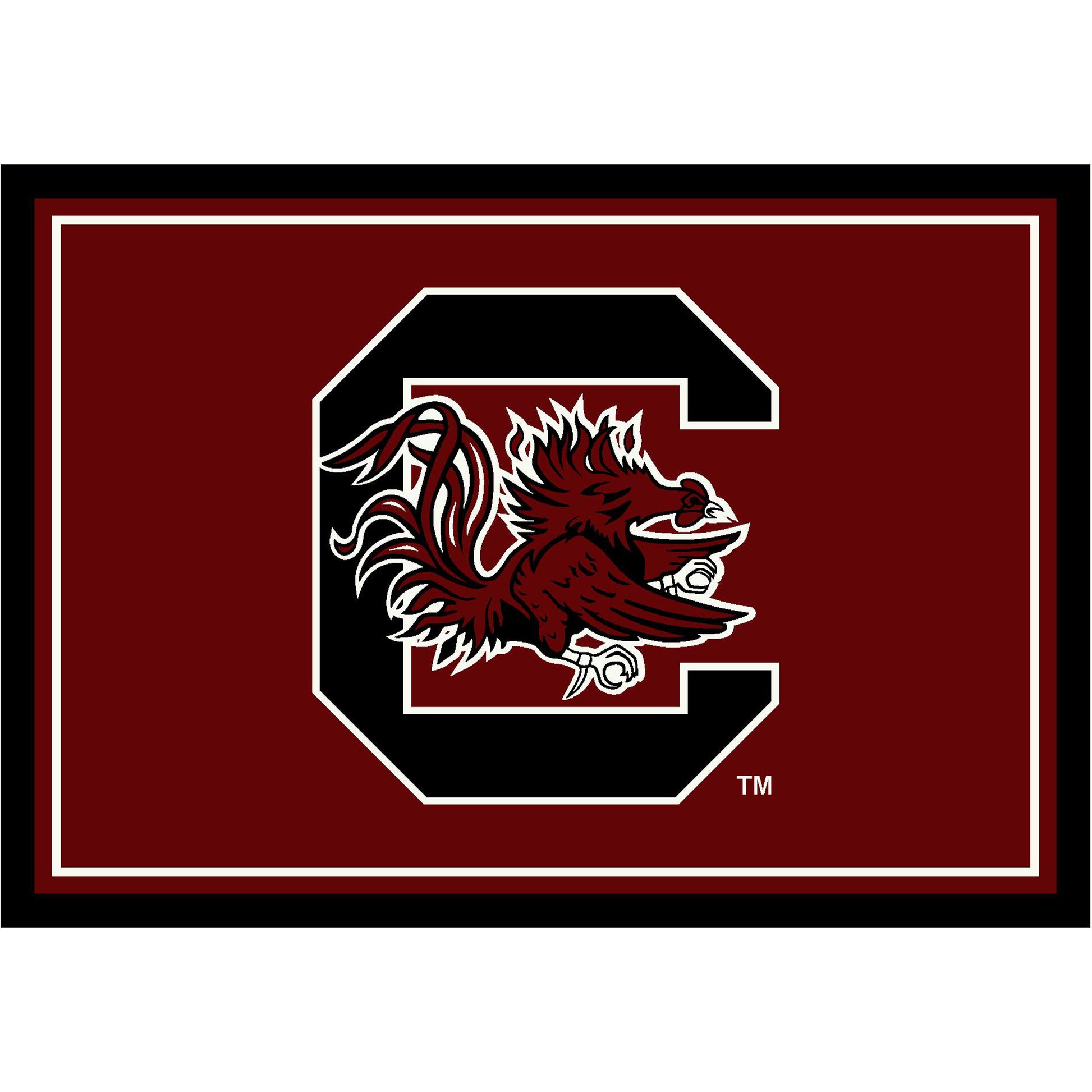 South Carolina Gamecocks distressed style area rug