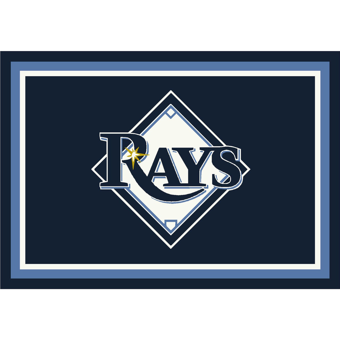 Tampa Bay Rays distressed style area rug