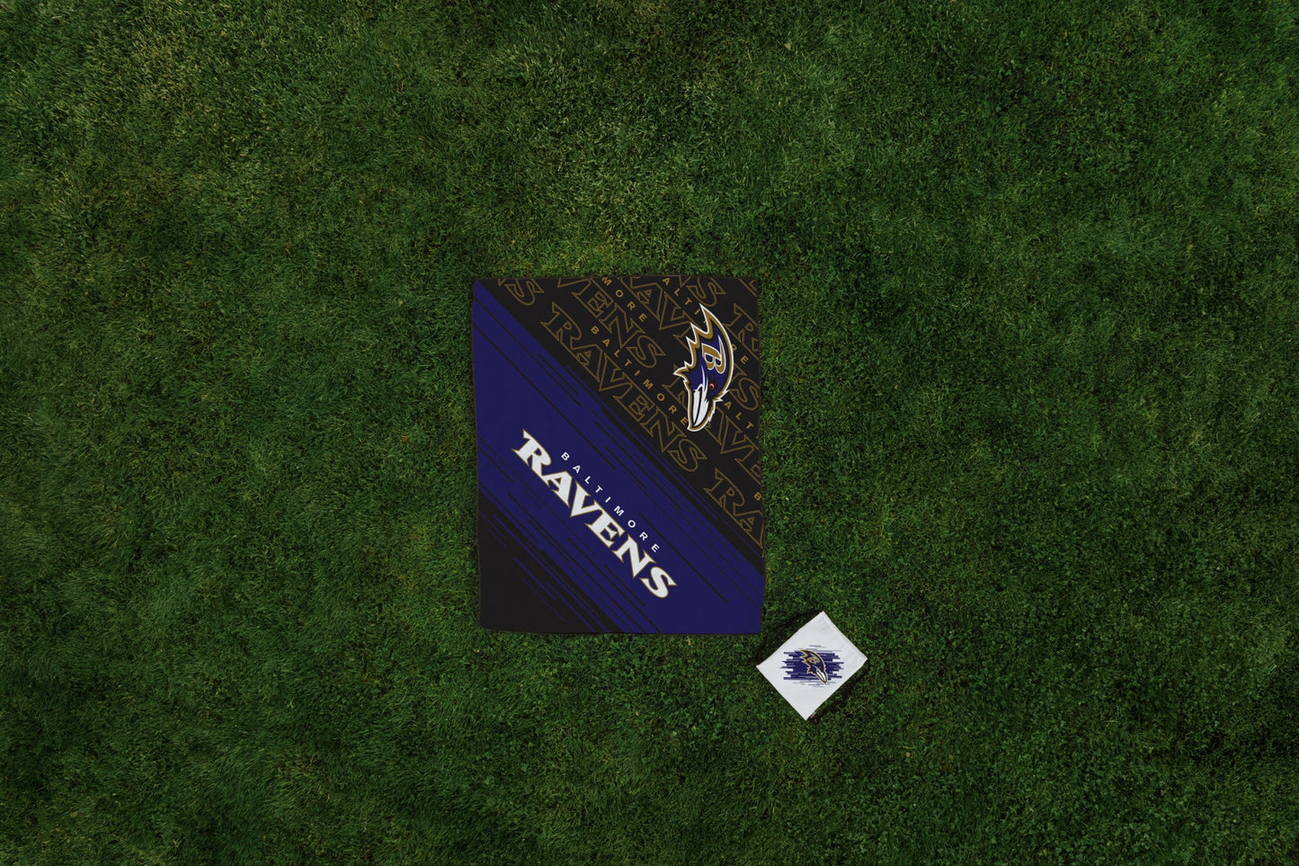 Baltimore Ravens - Impresa Picnic Blanket