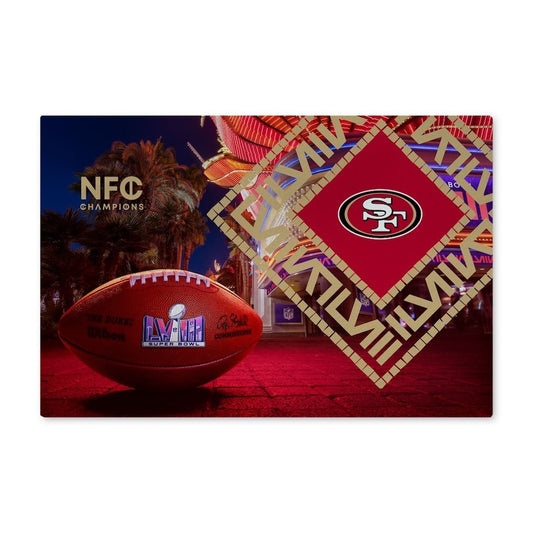 San Francisco 49ers Super Bowl 58 Participant 20 x 32 rug